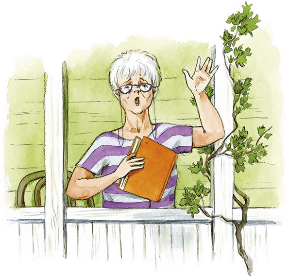 Иллюстрация к книге — Людмилка и Тим в сказочном саду [i_010.jpg]