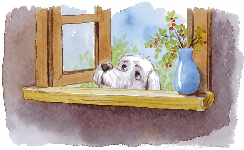 Иллюстрация к книге — Людмилка и Тим в сказочном саду [i_016.jpg]