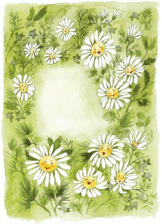 Иллюстрация к книге — Людмилка и Тим в сказочном саду [i_017.jpg]