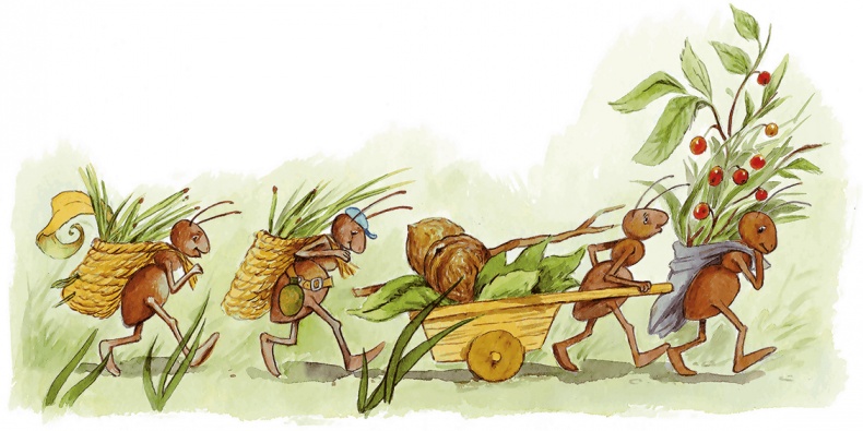 Иллюстрация к книге — Людмилка и Тим в сказочном саду [i_018.jpg]