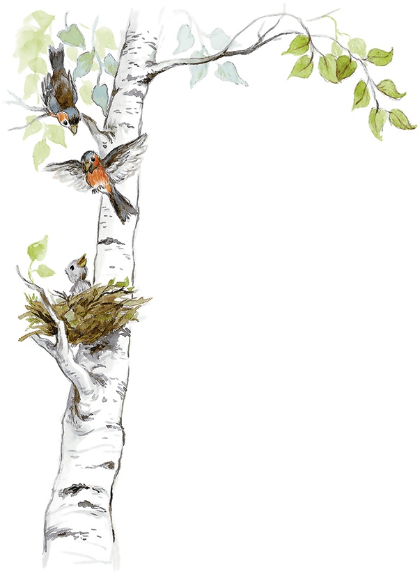 Иллюстрация к книге — Людмилка и Тим в сказочном саду [i_020.jpg]