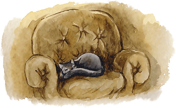 Иллюстрация к книге — Людмилка и Тим в сказочном саду [i_024.jpg]