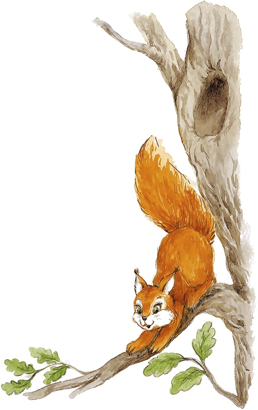 Иллюстрация к книге — Людмилка и Тим в сказочном саду [i_038.jpg]