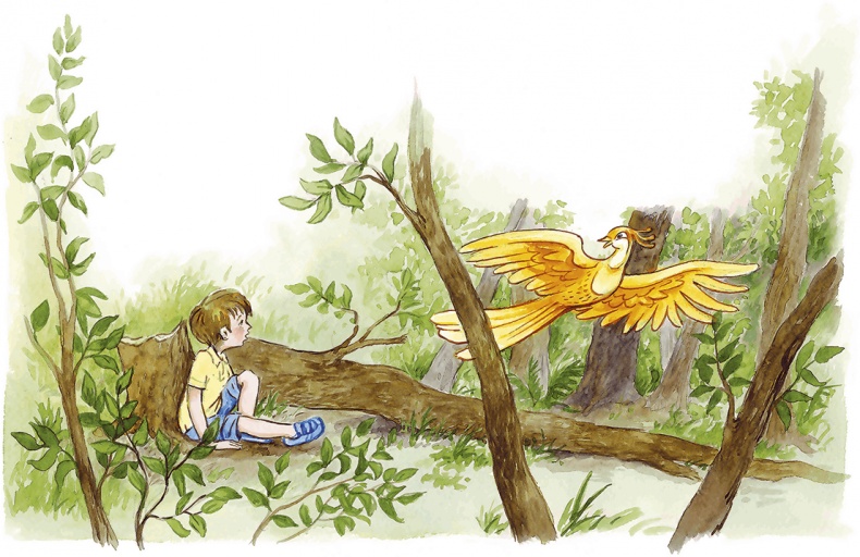 Иллюстрация к книге — Людмилка и Тим в сказочном саду [i_060.jpg]