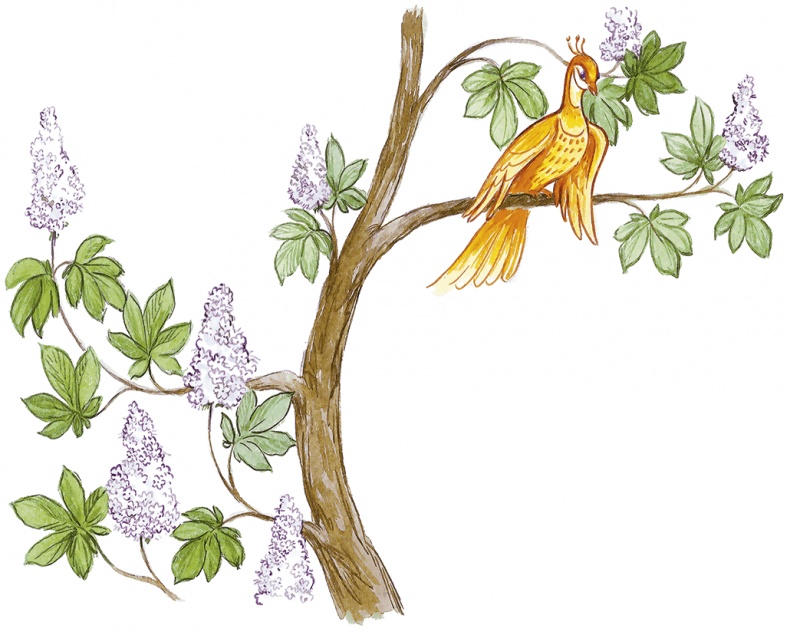 Иллюстрация к книге — Людмилка и Тим в сказочном саду [i_061.jpg]