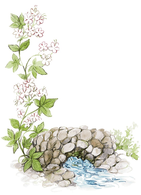 Иллюстрация к книге — Людмилка и Тим в сказочном саду [i_062.jpg]