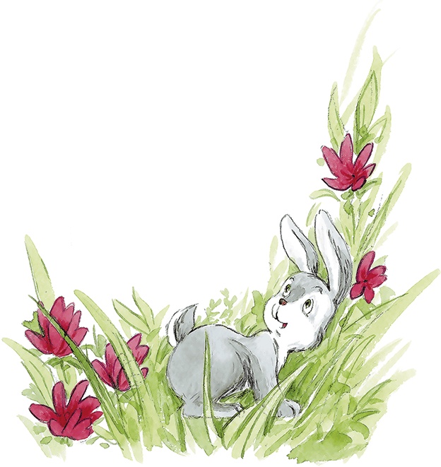 Иллюстрация к книге — Людмилка и Тим в сказочном саду [i_065.jpg]