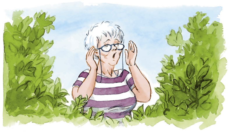 Иллюстрация к книге — Людмилка и Тим в сказочном саду [i_068.jpg]