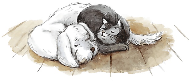 Иллюстрация к книге — Людмилка и Тим в сказочном саду [i_071.jpg]