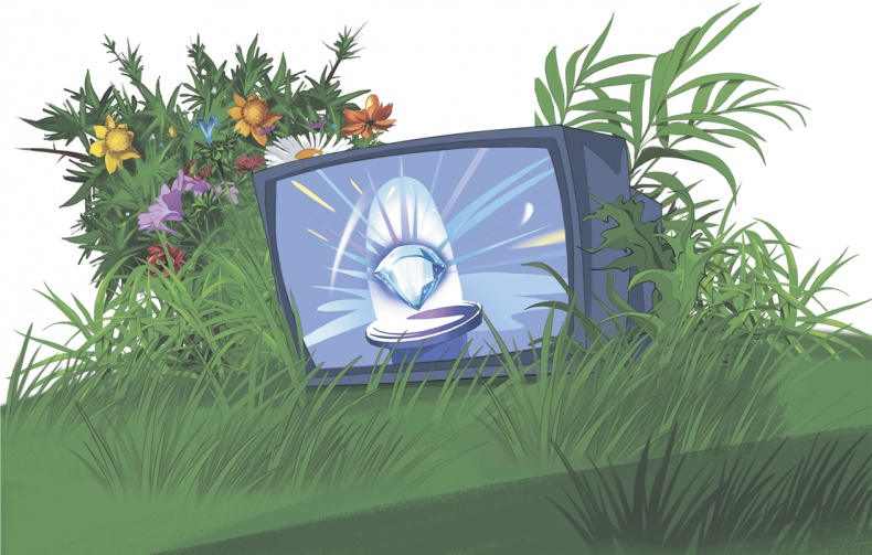 Иллюстрация к книге — Похищение алмаза [i_024.jpg]