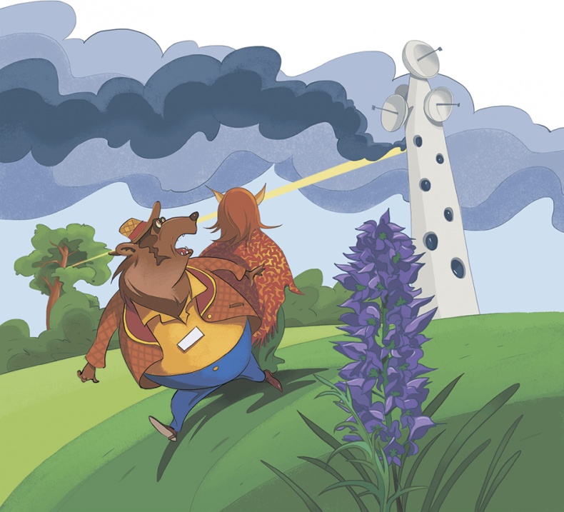 Иллюстрация к книге — Похищение алмаза [i_039.jpg]