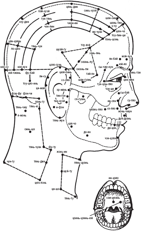 Иллюстрация к книге — Лечебные точки организма. Снимаем боли в суставах и мышцах, укрепляем кожу, вены, сон и иммунитет [_2.jpg]