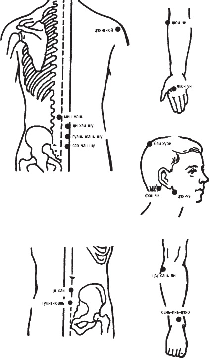 Иллюстрация к книге — Лечебные точки организма. Снимаем боли в суставах и мышцах, укрепляем кожу, вены, сон и иммунитет [_32.jpg]