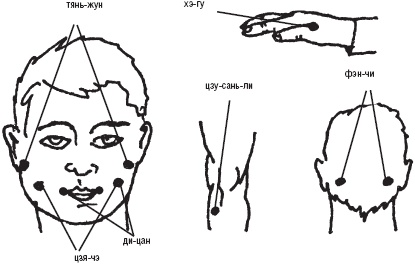 Иллюстрация к книге — Лечебные точки организма. Снимаем боли в суставах и мышцах, укрепляем кожу, вены, сон и иммунитет [_39.jpg]