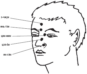 Иллюстрация к книге — Лечебные точки организма. Снимаем боли в суставах и мышцах, укрепляем кожу, вены, сон и иммунитет [_54.jpg]