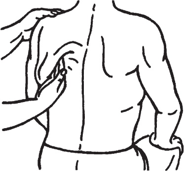 Иллюстрация к книге — Лечебные точки организма. Снимаем боли в суставах и мышцах, укрепляем кожу, вены, сон и иммунитет [_63.jpg]