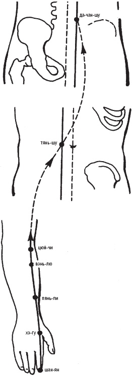 Иллюстрация к книге — Лечебные точки организма. Снимаем боли в суставах и мышцах, укрепляем кожу, вены, сон и иммунитет [_8.jpg]