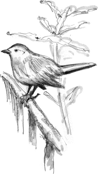 Иллюстрация к книге — Поцелуй под омелой [_21.jpg]