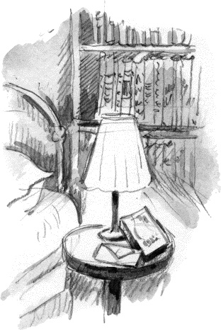 Иллюстрация к книге — Поцелуй под омелой [_22.jpg]