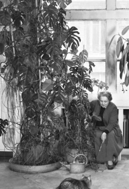 Иллюстрация к книге — Восхитительные женщины. Неподвластные времени [i_321.jpg]