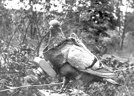 Иллюстрация к книге — Оружие будущего [_10.jpg]