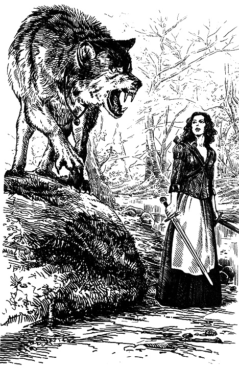 Иллюстрация к книге — Час перед рассветом [i_001.jpg]