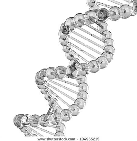 Иллюстрация к книге — Загадки цивилизаций [i_008.jpg]