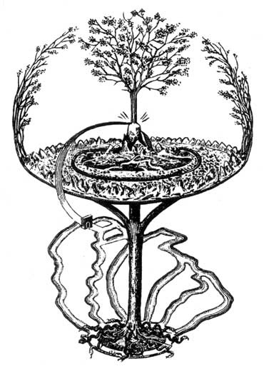 Иллюстрация к книге — Загадки цивилизаций [i_031.jpg]