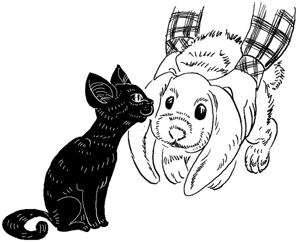 Иллюстрация к книге — Печенька, или История Красавицы [i_028.jpg]