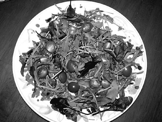 Иллюстрация к книге — Моя жизнь - сыроедение. Книга реальных историй и рецептов [img_68.jpg]