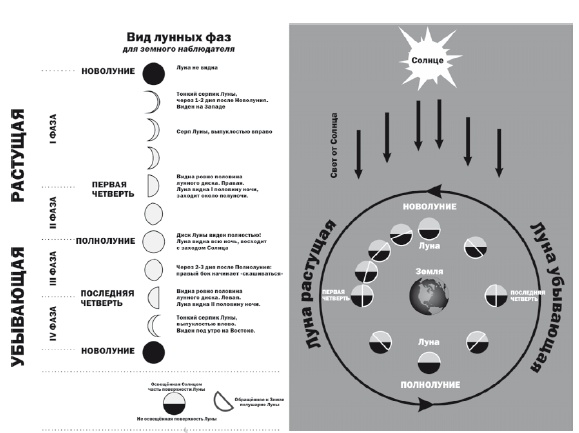 Иллюстрация к книге — Энергия здоровья. Кулинарная книга астролога [i_078.jpg]