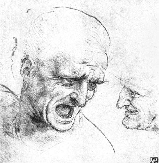 Иллюстрация к книге — Леонардо да Винчи. Загадки гения [_111.jpg]