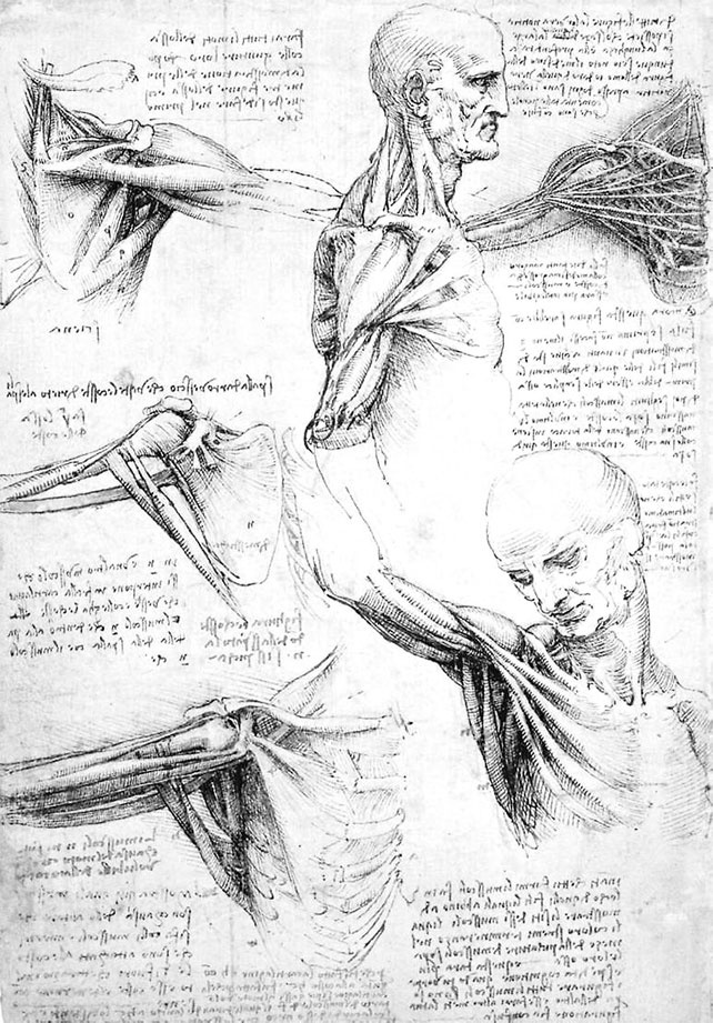 Иллюстрация к книге — Леонардо да Винчи. Загадки гения [_121.jpg]