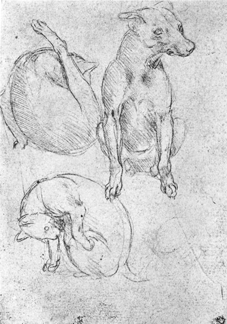 Иллюстрация к книге — Леонардо да Винчи. Загадки гения [_16.jpg]