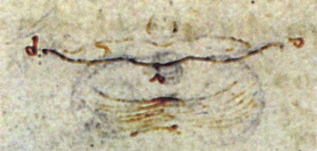 Иллюстрация к книге — Леонардо да Винчи. Загадки гения [_163.jpg]