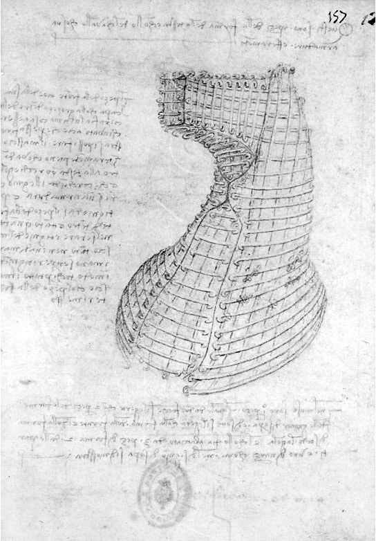 Иллюстрация к книге — Леонардо да Винчи. Загадки гения [_89.jpg]