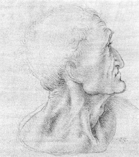 Иллюстрация к книге — Леонардо да Винчи. Загадки гения [_95.jpg]