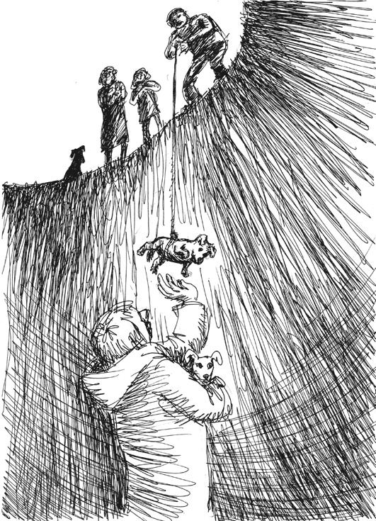 Иллюстрация к книге — Кошки, собаки и… другие люди. Невыдуманные истории спасения [_11.jpg]