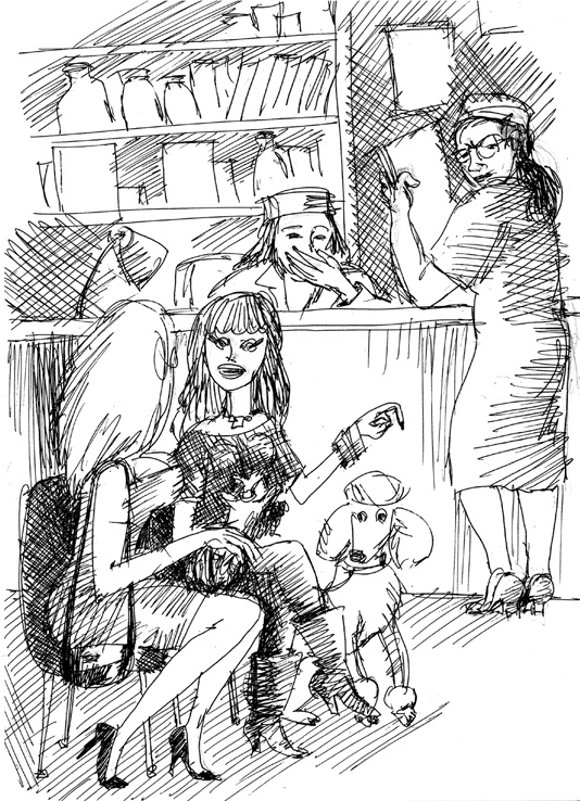 Иллюстрация к книге — Кошки, собаки и… другие люди. Невыдуманные истории спасения [_3.jpg]