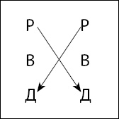 Иллюстрация к книге — Тайны поведения человека: секретные ниточки, кнопки и рычаги. Трансактный анализ – просто, понятно, интересно [_13.jpg]