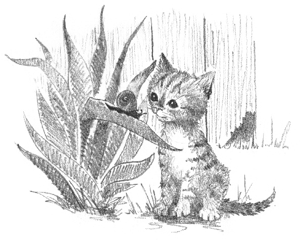 Иллюстрация к книге — Котенок Звездочка, или Двойной сюрприз [i_004.jpg]