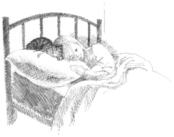 Иллюстрация к книге — Котенок Звездочка, или Двойной сюрприз [i_010.jpg]