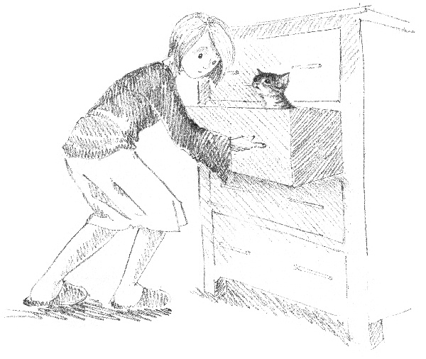 Иллюстрация к книге — Котенок Звездочка, или Двойной сюрприз [i_022.jpg]