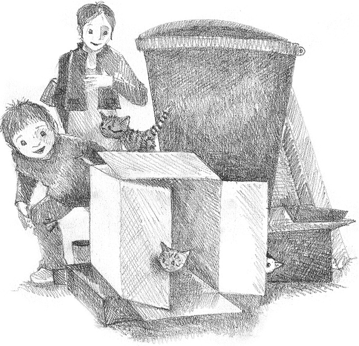 Иллюстрация к книге — Котенок Кэтти, или Секрет в шкафу [i_006.jpg]