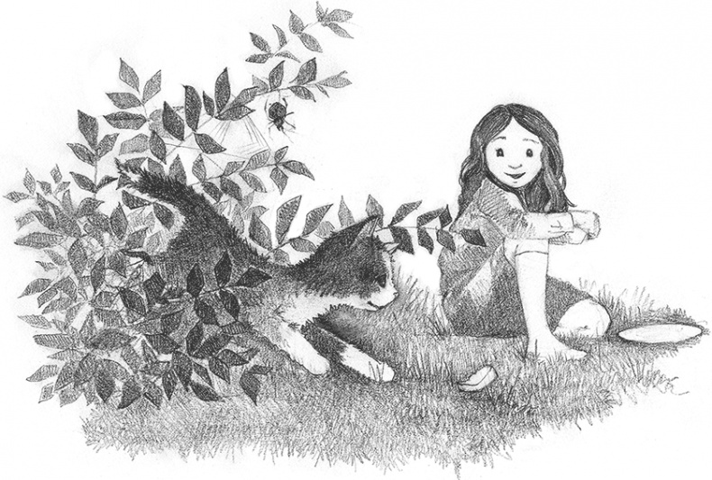 Иллюстрация к книге — Котенок Кэтти, или Секрет в шкафу [i_017.jpg]