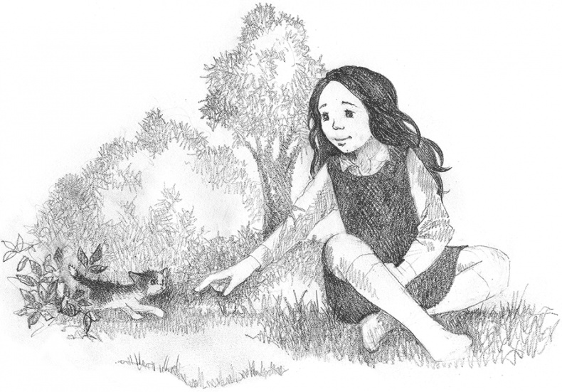 Иллюстрация к книге — Котенок Кэтти, или Секрет в шкафу [i_018.jpg]