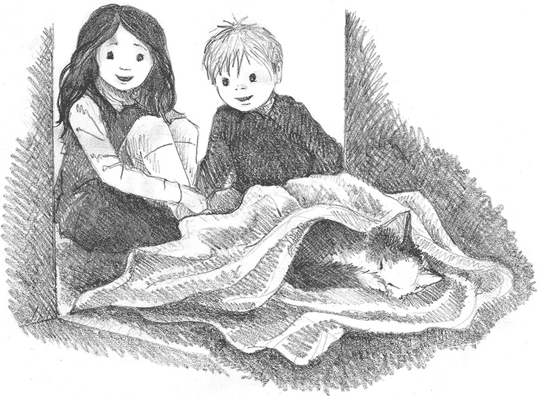 Иллюстрация к книге — Котенок Кэтти, или Секрет в шкафу [i_026.jpg]