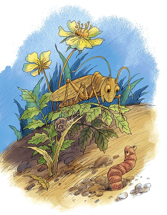 Иллюстрация к книге — Волшебное слово. Сказки и рассказы [i_003.jpg]