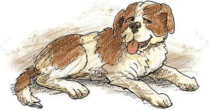 Иллюстрация к книге — Волшебное слово. Сказки и рассказы [i_026.jpg]