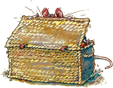 Иллюстрация к книге — Сказки и истории Ежевичной поляны (сборник) [i_021.jpg]